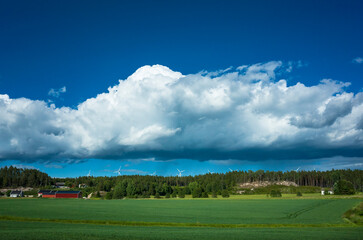 Scandinavian rural landscape, Farmland green fields, Large rain cloud over forest and wind turbines...