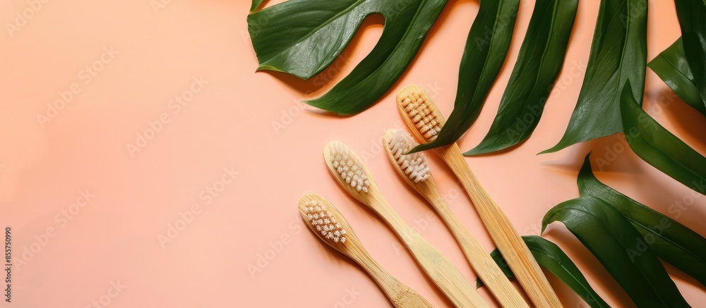 Aufkleber bamboo toothbrushes on pastel background with tropical leaf. Place for text. Ecoproduct. with copy space image. Place for adding text or design