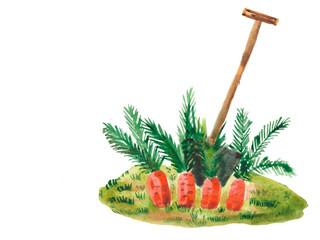 carrots in the garden watercolor