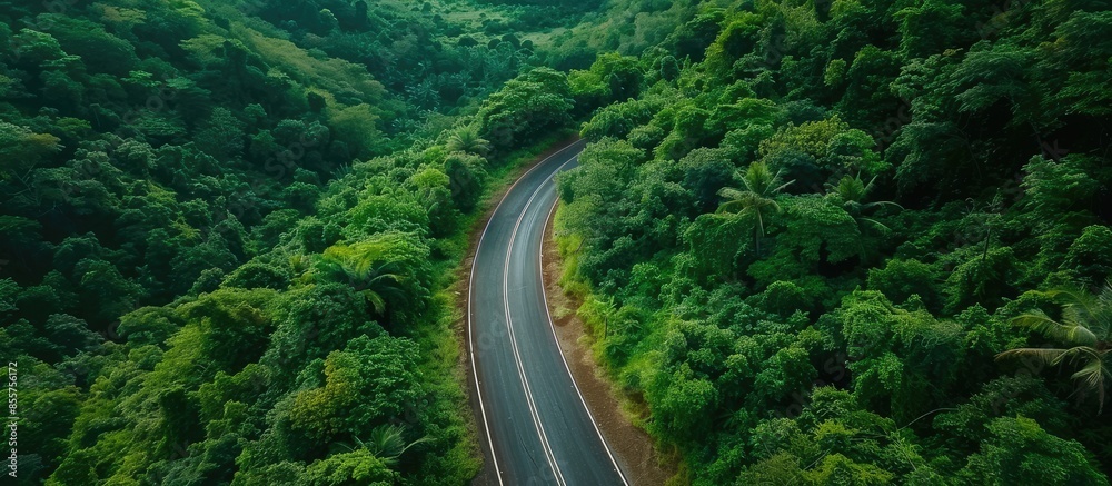 Aufkleber aerial view of a road in the middle of the forest , road curve construction up to mountain. copy spa