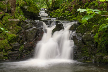 Nixenteich, Rh&ouml;n