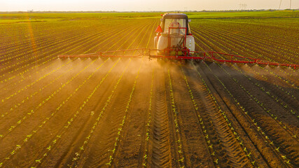 Aerial view on tractor as spraying field with sprayer, herbicide and pesticide © Roman_23203