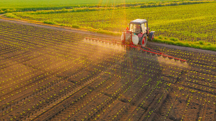 Obraz premium Aerial view on tractor as spraying field with sprayer, herbicide and pesticide