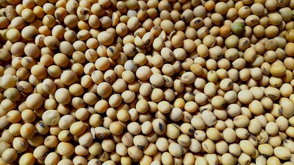 soybeans background