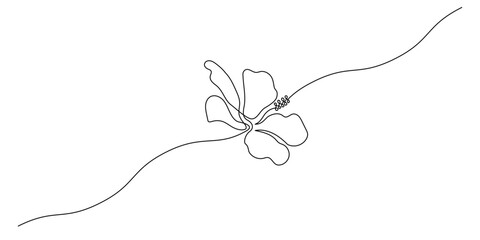 One continuous line drawing of hibiscus flower. Floral abstract symbol in simple linear style. Organic red herbal tea concept in editable stroke. Doodle outline vector illustration © Olga Rai