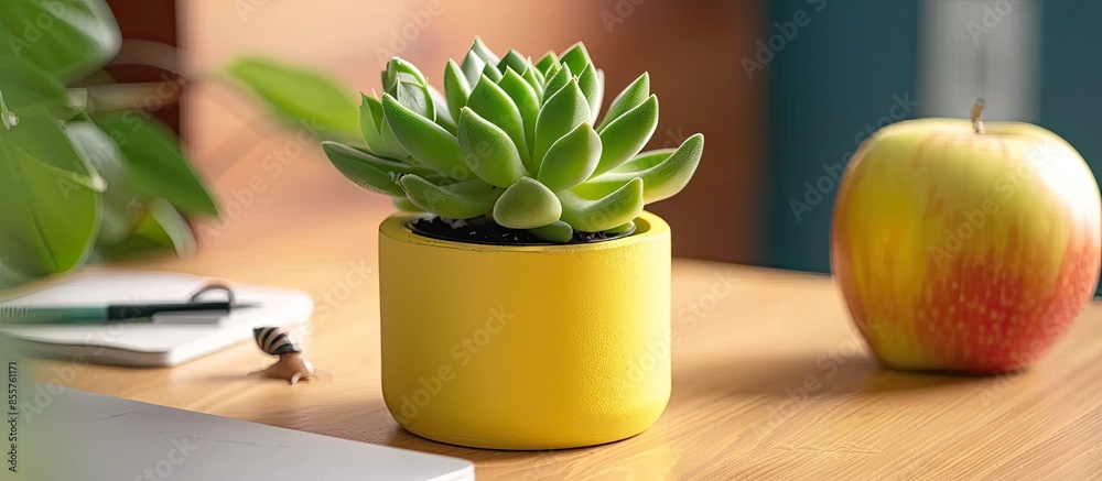 Poster Succulents in yellow concrete pot on table with little snail near apple and notebook. Macro close up. with copy space image. Place for adding text or design
