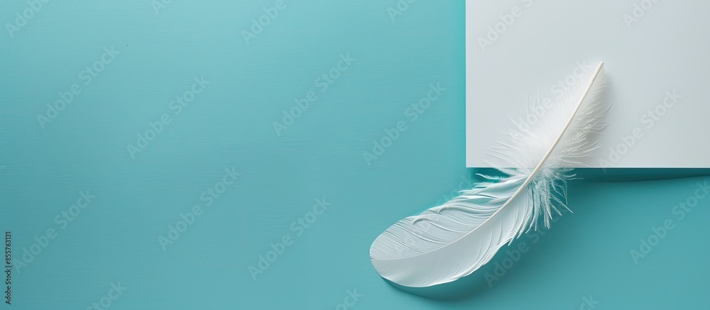 Fototapete On a pastel background a sheet of paper of lightblue color with lines and a feather pen. with copy space image. Place for adding text or design
