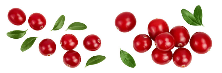 Cranberry with leaves isolated on white background with full depth of field. Top view. Flat lay