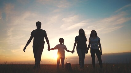 people in the park. silhouette of a big happy family on a walk with a dog at sunset in a field in nature. happy family lifestyle kid dream concept. big friendly family walk at sunset in the park