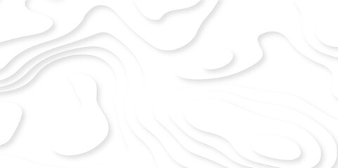 	
Luxury abstract lines Modern white carve wave line abstract luxury 3d papercut background. vector minimal topography map light element shadow landscape wave element curve graphic papercut design.