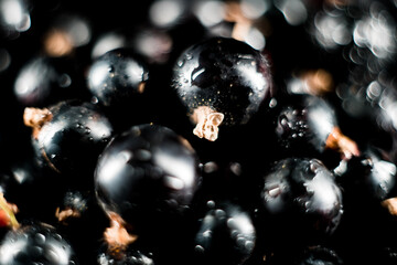 Black currants in a plate on a black background. Berries concept