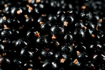 Black currants in a plate on a black background. Berries concept