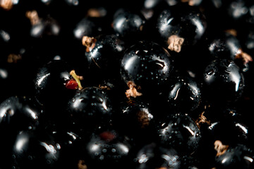 Black currants in a plate on a black background. Berries concept