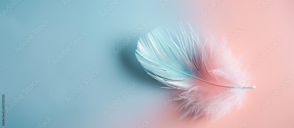 Poster bird feather on a pastel background Isolated  Nature. with copy space image. Place for adding text or design