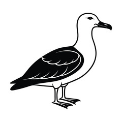 Seagull Silhouette Vector Illustration for Graphic Design