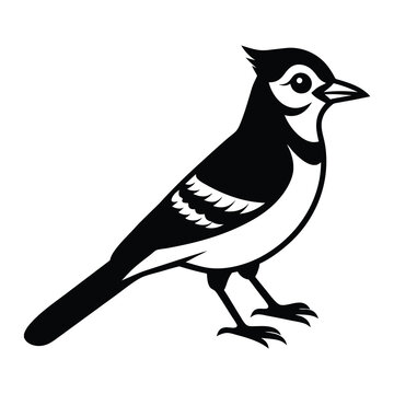 recommend clip art: Blue Jay Silhouette Vector Illustration - Bird Outline Clipart Design