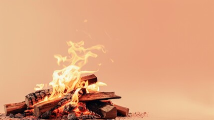 campfire with bright dancing flames and burned 