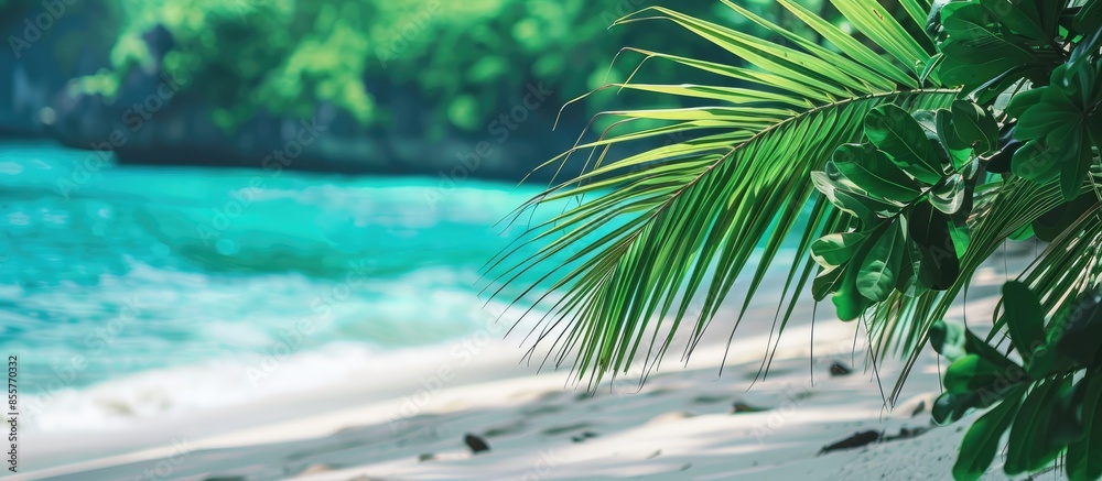 Poster travel and tour social media banner post template. copy space image. place for adding text or design