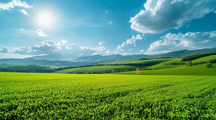 Fototapeta premium Sunny Countryside Landscape with Rolling Hills, Green Fields, and Blue Sky
