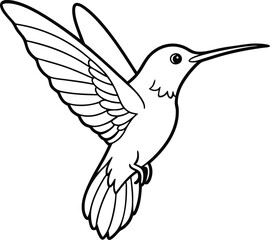 Hummingbird vector lineart drawing design