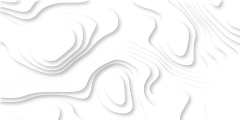 Luxury abstract lines Modern white carve wave line abstract luxury 3d papercut background. vector minimal topography map light element shadow landscape wave element curve graphic papercut design.