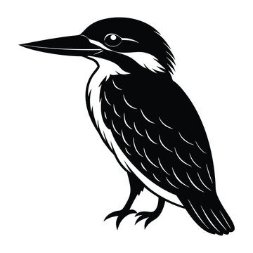 recommend clip art: Kingfisher Silhouette Illustration for Graphic Design Projects