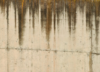 Fototapeta premium Abstract Pulse. Wall Symphony with Humidity Patterns.