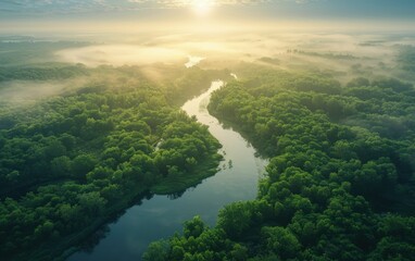 A river with a green forest on either side. The sky is cloudy and the sun is shining through the clouds