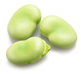 Several broad beans isolated on white background.