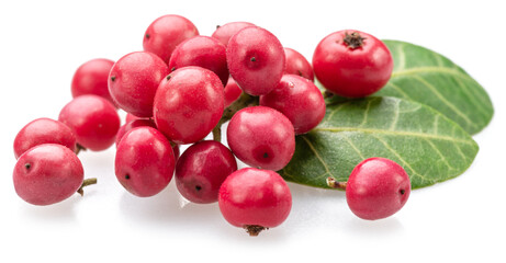 Fresh pink peppercorns isolated on white background.