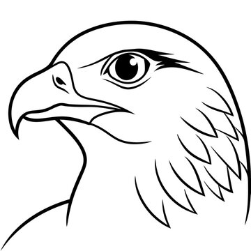 recommend clip art: Hawk head vector line art and linocut illustration
                    