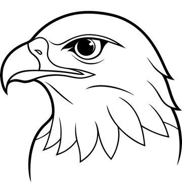 recommend clip art: Hawk head vector line art and linocut illustration
                    