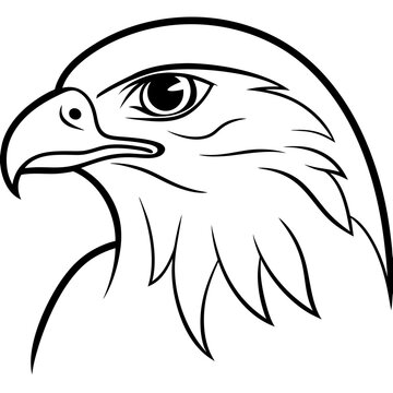 recommend clip art: Hawk head vector line art and linocut illustration
                    