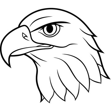 recommend clip art: Hawk head vector line art and linocut illustration
                    