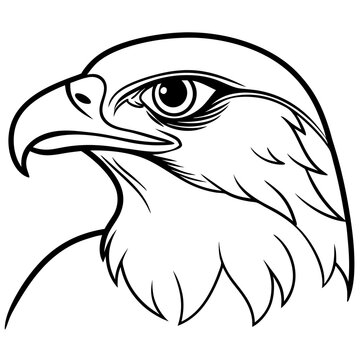 recommend clip art: Hawk head vector line art and linocut illustration
                    