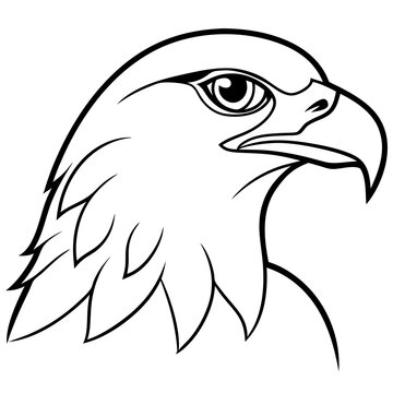 recommend clip art: Hawk head vector line art and linocut illustration
                    