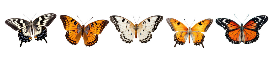 Fototapeta premium Colorful butterflies in a row png set