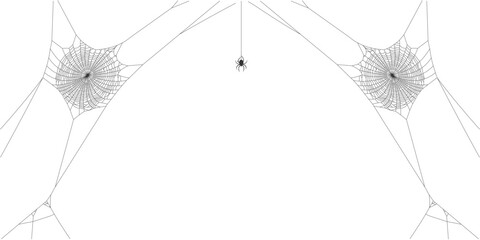 vector of cobwebs and spiders hanging for halloween