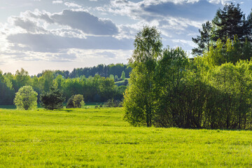 Obraz premium Rural Russian landscape photo taken on a summer day