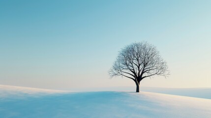 single tree in snowy field with blue sky and minimalist landscape.
