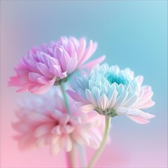 Obraz premium Three delicate pink and blue flowers against a soft, pastel background.