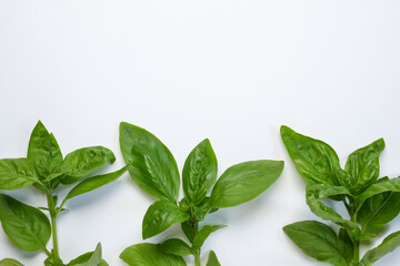 Composition of basil herb leaves on a white background. Herbal seasoning. Top view, flat lay. Space for text. 