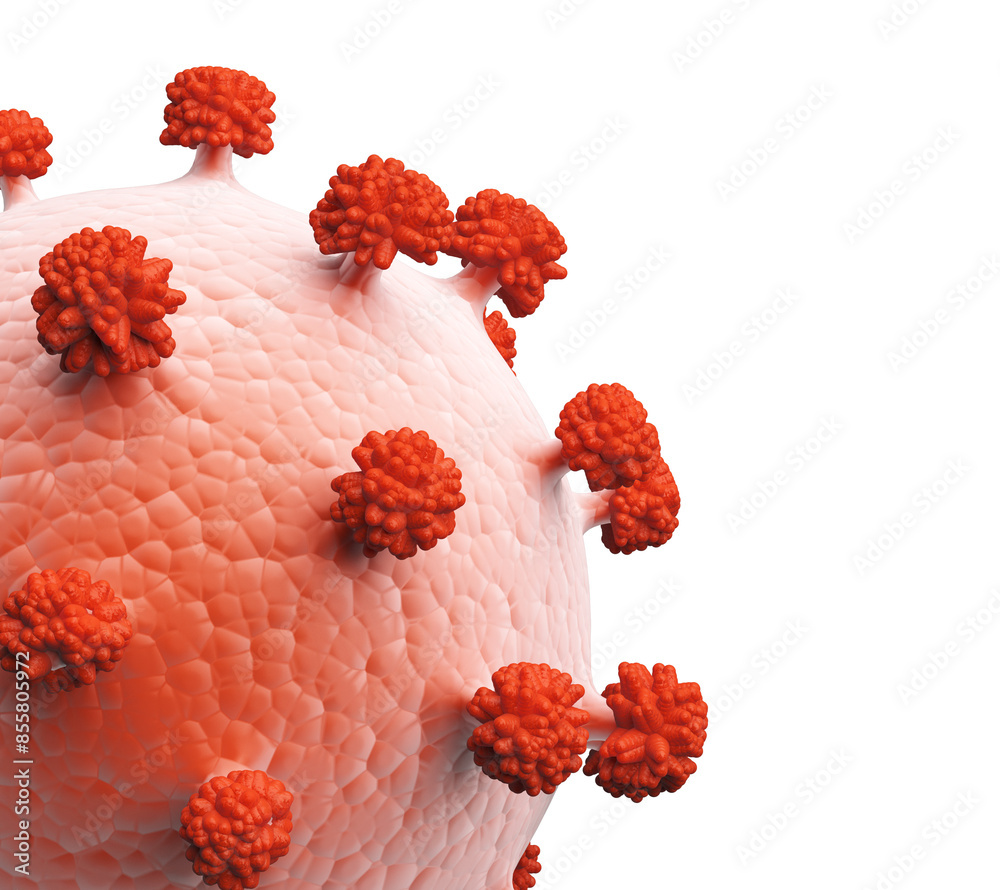 Poster a stylized representation of a virus structure in pink and red against a white background, depicting