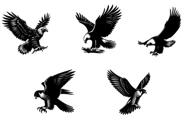 eagle vector set