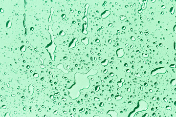 Water drops on green background, green water drops pattern background