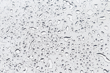 Water drops on white background, water drops pattern background