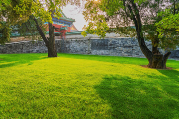 The vast lawns and ancient buildings in the Forbidden City of Beijing, China