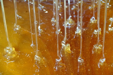 Dropping drops of sweet honey, nectar in mead. Extraction of honey from cells. Get honeys drips from bees honeycombs. honey processing illustration