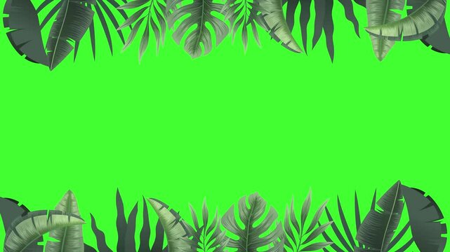2D animation of realistic tropical leaves frame, leaves moving in wind appear at top and bottom. Seamless loop animation, green screen background. Custom text space. perfect for summer, ads, promotion