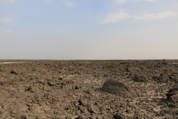 plowed field in spring